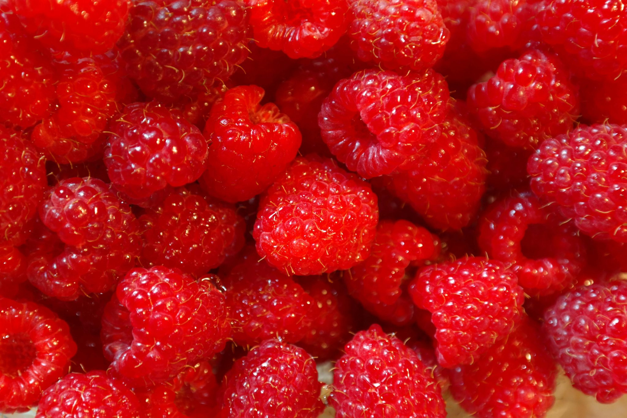 Verschiedene Beeren nebeneinander im Vergleich